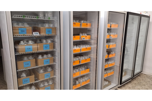 Proces prípravy, merania a distribúcie CRM 